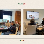 JucisRS, R2DA e CREA/RS alinham estrat&eacute;gias para integrar dados, sistemas e solu&ccedil;&otilde;es digitais